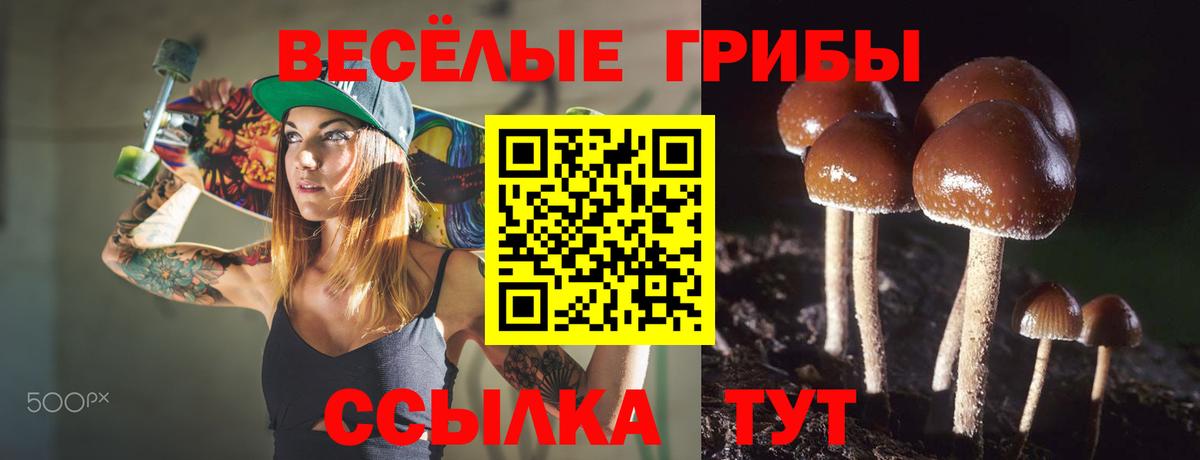 Псилоцибиновые грибы Magic Shrooms Балашов
